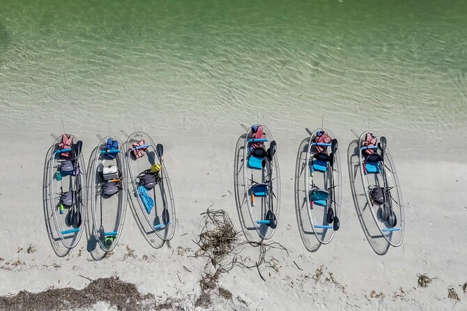Clear Kayak Tour of Shell Key Preserve and Tampa Bay Area - Paddling through mangroves and shallows
