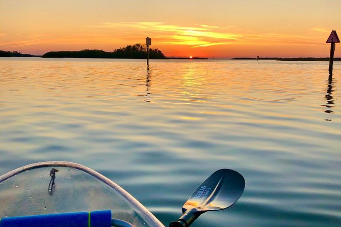Clear Kayak Tour of Shell Key Preserve and Tampa Bay Area - The mangrove tunnel and photos: how it actually plays out