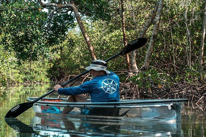Clear Kayak Tours in Fort Pierce - Key Things to Know Before You Paddle