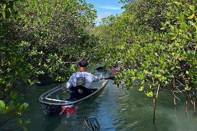 Clear Kayak Tours in Fort Pierce - Stop by Stop: How the Tour Flows on the Water