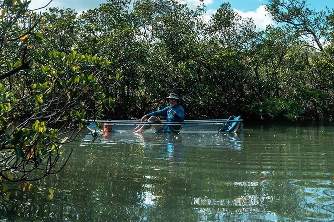 Clear Kayak Tours in Fort Pierce - Price and Value: Is $90 Worth It?