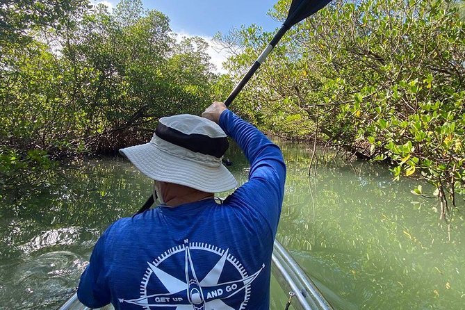 Clear Kayak Tours in Fort Pierce - Your Clear Kayak Adventure: Mangrove Tunnels and Backcountry Views