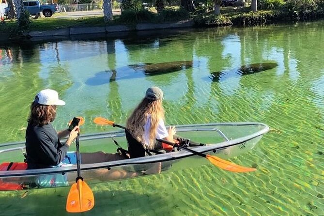 Clear Kayak Tours in Weeki Wachee - Key things to know before you paddle