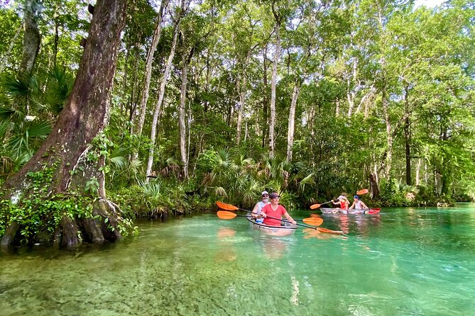 Clear Kayak Tours in Weeki Wachee - Clear Hull Kayaking at Weeki Wachee, What Makes It Special