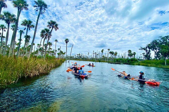 Clear Kayak Tours in Weeki Wachee - The 2 to 2.5 Hour Paddle, What You Actually Do