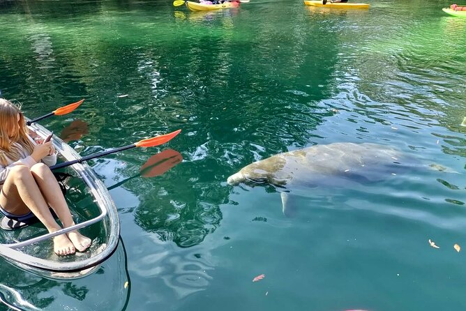 Clear Kayak Tours in Weeki Wachee - The Clear Kayak Gear, What You Get and Why It Helps