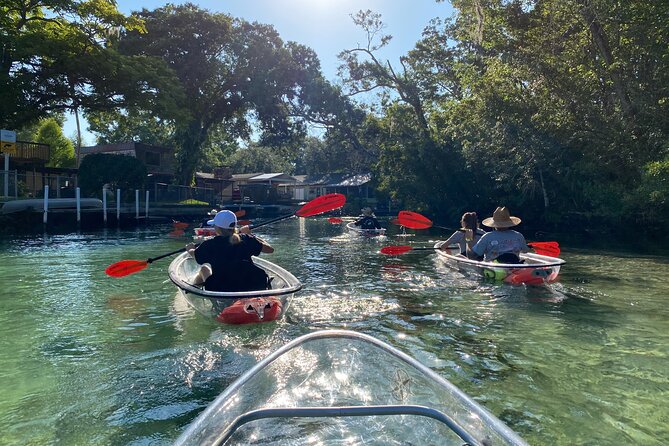 Clear Kayak Tours in Weeki Wachee - Comfort, Pace, and the Rules You Feel on the Water
