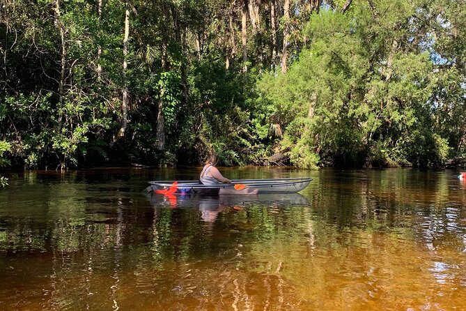 Clear Kayak Tours in Weeki Wachee - Price and Value: Is $79 Worth It?
