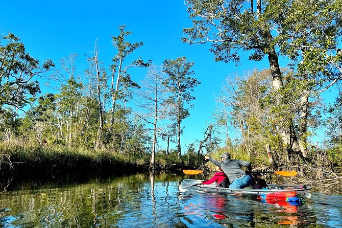 Clear Kayak Tours in Weeki Wachee - Who This Tour Fits Best (and Who Might Want Another Option)