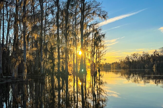 Clear Kayaking Eco Adventure Tour in Marianna - Florida Caverns State Park and Blue Springs Recreational Park: what to expect