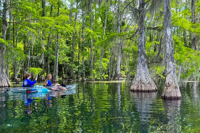 Clear Kayaking Eco Adventure Tour in Marianna - What to bring for comfort, photos, and sanity