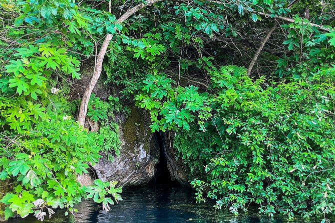 Clear Kayaking Eco Adventure Tour in Marianna - What you actually do on the water