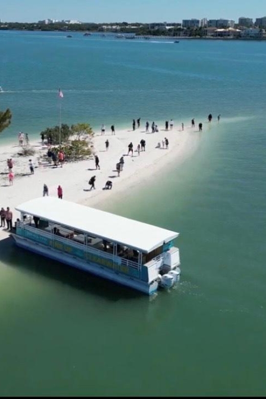 Clearwater Beach: Dolphin & Island Sandbar Cruise - Clearwater Beach Dolphin Cruise, Guaranteed Dolphins, Real Swim Time