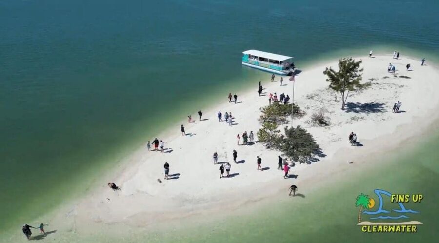 Clearwater Beach: Dolphin & Island Sandbar Cruise - Small Details That Can Make or Break Your Day