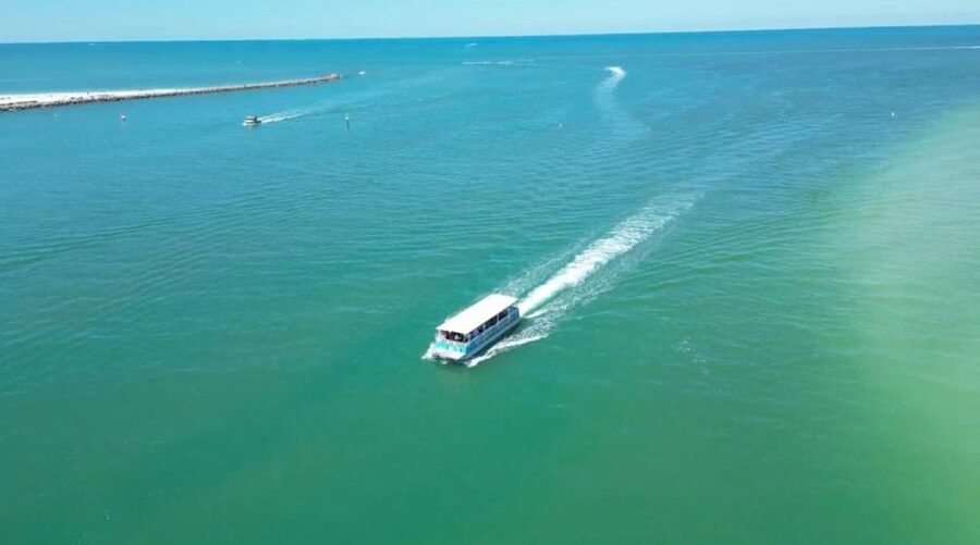 Clearwater Beach: Dolphin & Island Sandbar Cruise - One-Tree Island Stop: Photos, Sand, Swimming, and Crowd Reality