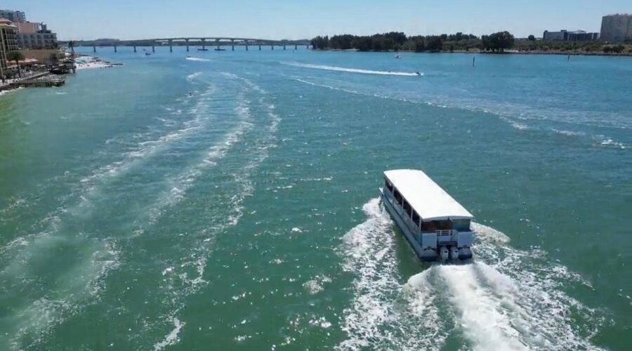 Clearwater Beach: Dolphin & Island Sandbar Cruise - Boat Comfort You Actually Feel: Shade, Restroom, Coolers, Bluetooth