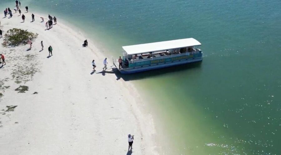 Clearwater Beach: Dolphin & Island Sandbar Cruise - Value for $28: What You Really Get in This Two-Hour Window