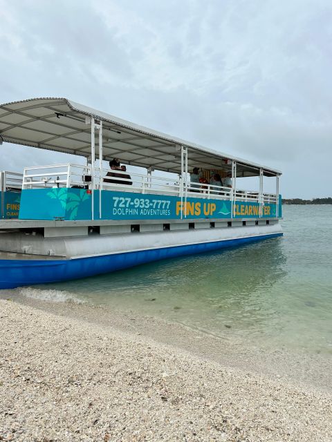 Clearwater Beach: Dolphin & Island Sandbar Cruise - Who This Tour Fits Best (And Who Might Want Something Else)