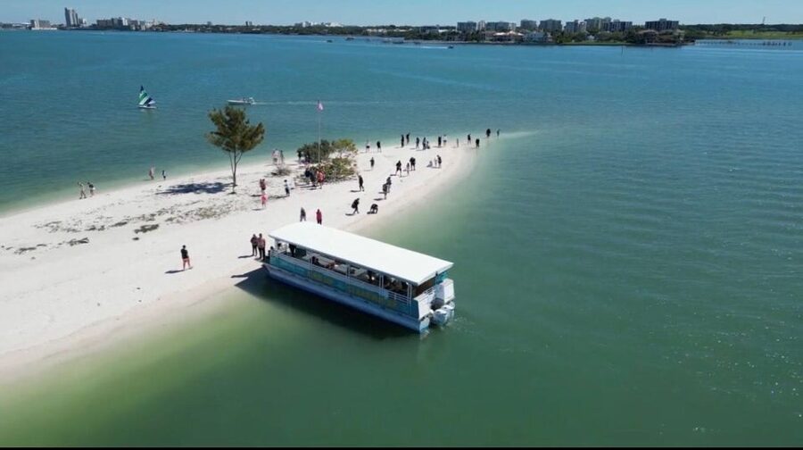 Clearwater Beach: Dolphin & Island Sandbar Cruise - Guaranteed Dolphin Sighting: What It Means on the Water