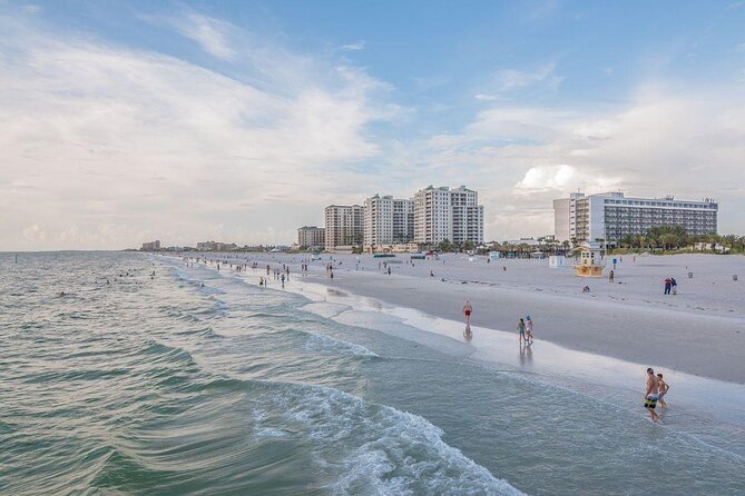 Clearwater Encounters with Dolphins Tour - H2: Your boat ride comfort, plus what to expect on deck