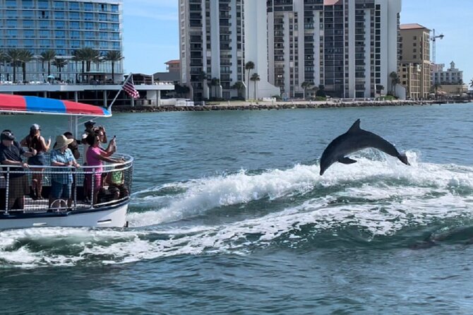 Clearwater Encounters with Dolphins Tour - H2: Price and value, including what is and is not included