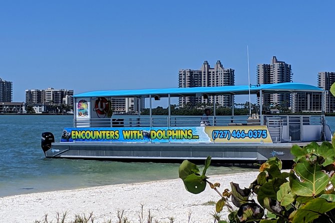 Clearwater Encounters with Dolphins Tour - H2: The 90-minute flow, starting in Clearwater Harbor