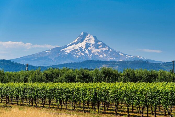 Columbia Gorge Waterfalls and Mt. Hood Tour - Full Day - What you’ll notice fast on this tour
