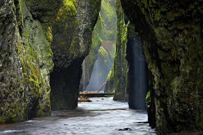 Columbia Gorge Waterfalls and Mt. Hood Tour - Full Day - A best-of Oregon day: Columbia Gorge first, then Mt Hood’s mountain vibe