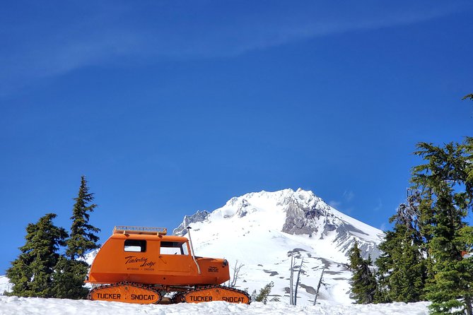 Columbia Gorge Waterfalls and Mt. Hood Tour - Full Day - Multnomah Falls and Benson Bridge: the classic that still hits