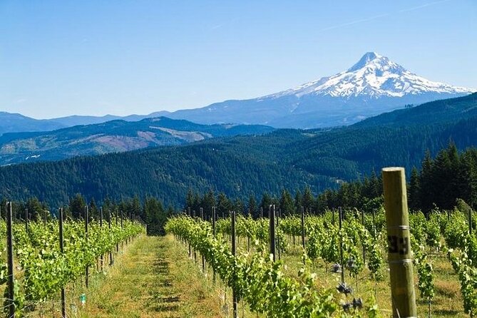 Columbia River Gorge Waterfall Tour from Portland - Why This Half-Day Gorge Tour Makes Sense From Portland