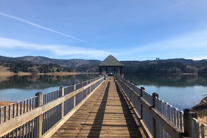 Columbia River Gorge Waterfall Tour from Portland - Horsetail Falls and Latourell Falls: Short Stops, Big Personality