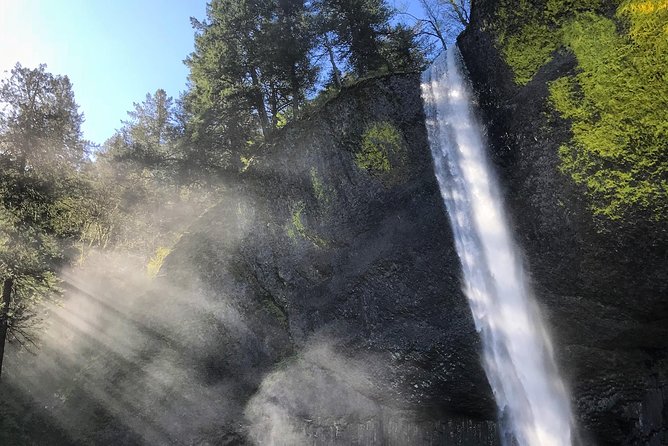 Columbia River Gorge Waterfalls & Mt Hood Tour from Portland, OR - Latourell Falls: a columnar-basalt drop plus a closer look option