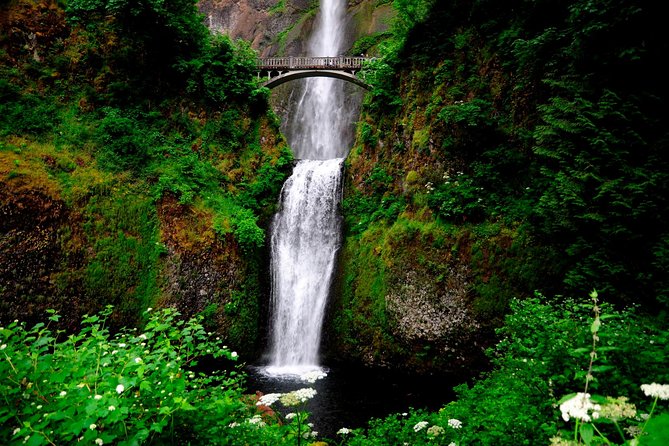 Columbia River Gorge Waterfalls & Mt Hood Tour from Portland, OR - Multnomah Falls and Benson Bridge: Oregon’s tallest waterfall stop made easy