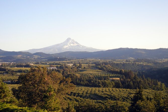 Columbia River Gorge Waterfalls & Mt Hood Tour from Portland, OR - South into Mt Hood National Forest: spotting the mountain before the lodge