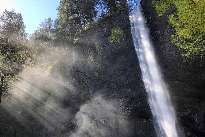 Columbia River Gorge Waterfalls Tour from Portland, OR - Latourell Falls: Columnar Basalt and a Short Walk