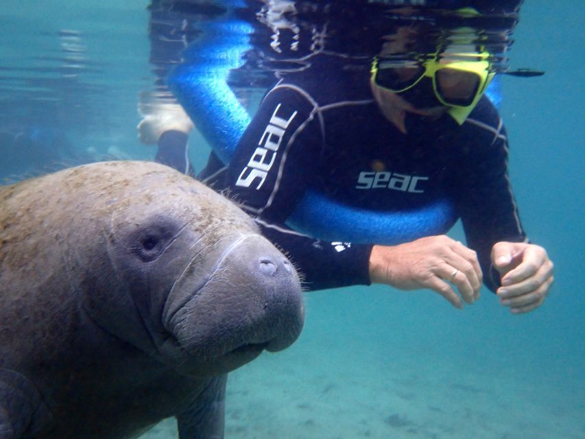 Crystal River: Manatee Snorkel Tour w/ In-Water Photographer - Key things to notice before you go