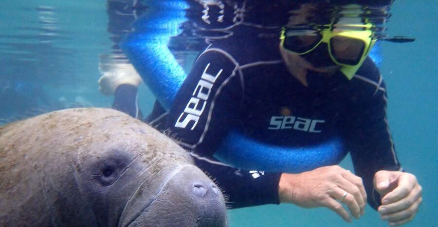 Crystal River: Manatee Snorkel Tour w/ In-Water Photographer - After the swim: gift shop time and Kings Bay local tips