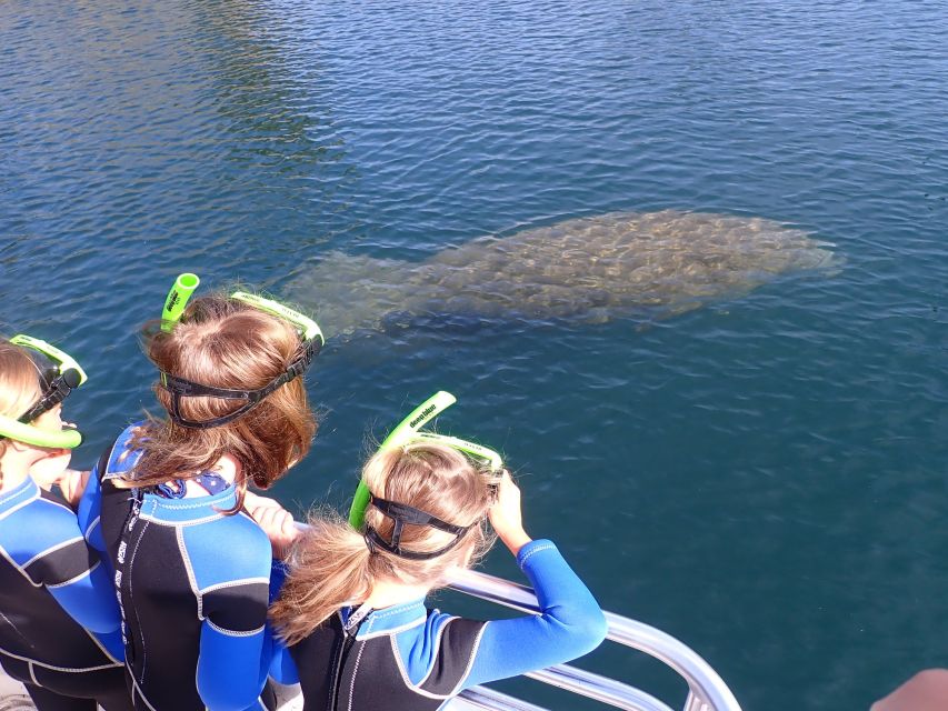Crystal River: Manatee Swim Group Tour - Who This Tour Fits Best (And Who Might Want Another Option)