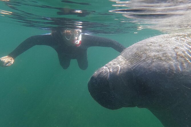 Crystal River: Semi-Private Manatee Swim Tour With Heated Boat - Crystal River Manatee Swim, With a Small-Group Pace That Feels Calm