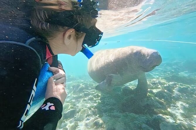 Crystal River: Semi-Private Manatee Swim Tour With Heated Boat - After the Swim: Hot Drinks, Warm Towels, and Optional Showers