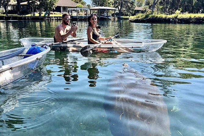 Crystal River Three Sisters Springs and Manatee Clear Kayak Tours - Manatee season paddling: front-row searching without getting in the water