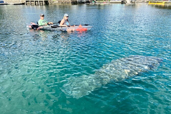 Crystal River Three Sisters Springs and Manatee Clear Kayak Tours - Paddling comfort, stability, and first-timer confidence