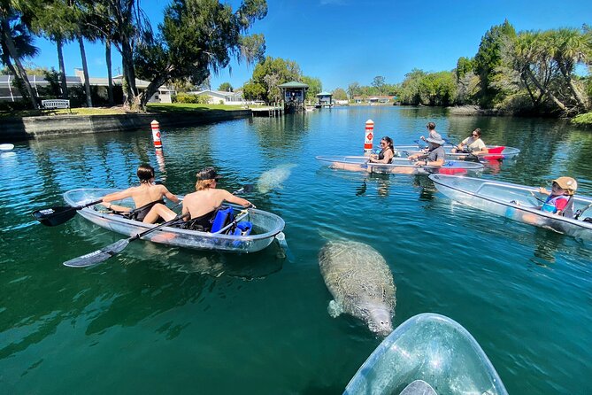 Crystal River Three Sisters Springs and Manatee Clear Kayak Tours - Value and what you’re really paying for
