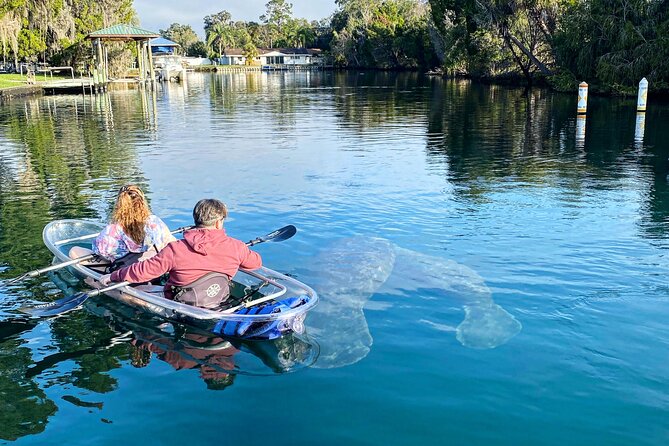 Crystal River Three Sisters Springs and Manatee Clear Kayak Tours - Kings Bay Park launch: how the first 20 minutes set the tone