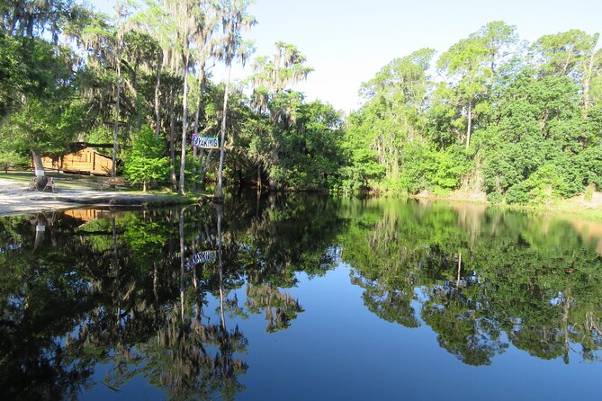 Cypress Forest: Guided Nature Kayak Eco-Tour - Shingle Creek: why this paddle feels quieter than it should