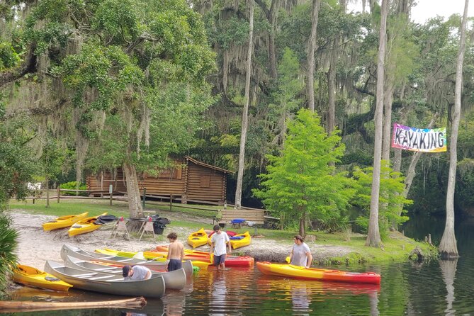 Cypress Forest: Guided Nature Kayak Eco-Tour - Wildlife spotting without the pressure