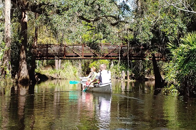 Cypress Forest: Guided Nature Kayak Eco-Tour - Starting at The Paddling Center off Hwy 192