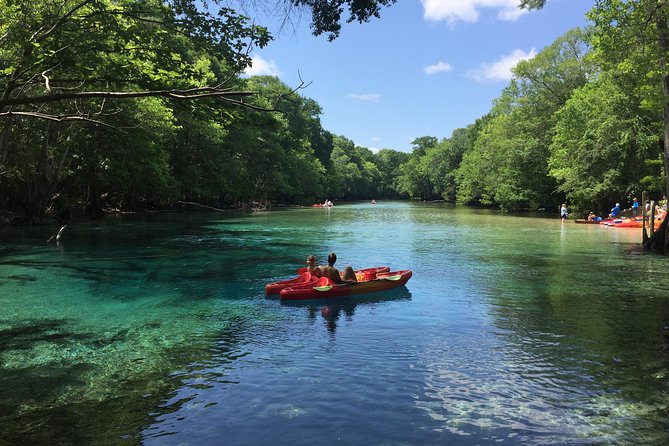 Cypress Springs Eco Adventure - Cypress Springs feels like a different side of Panama City Beach