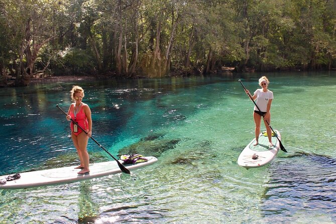 Cypress Springs Eco Adventure - Snorkeling with SeaDoo scooters, plus GoPro moments
