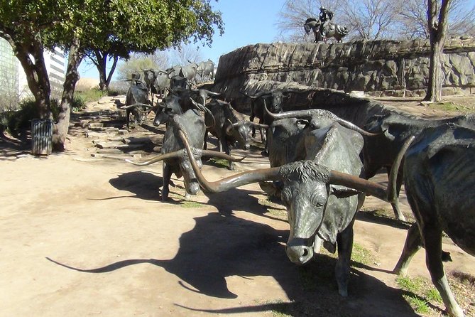 Dallas and Fort Worth City Sightseeing Tour Small-Group - Klyde Warren Park, John Neely Bryan Cabin, and the Dallas pocket-park vibe